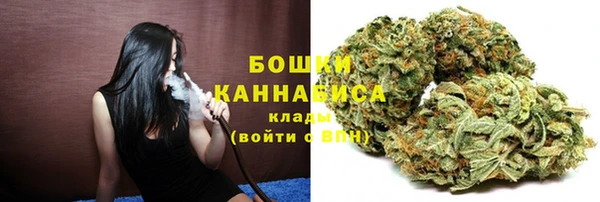 гидра Абаза