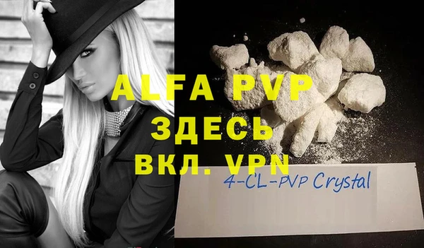 гидра Абаза