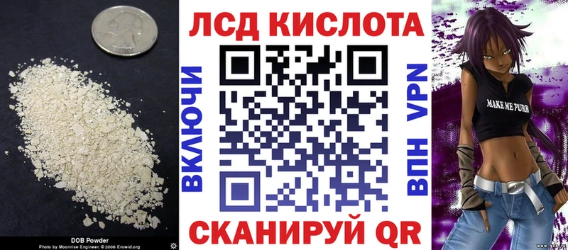 где можно купить наркотик  Шали  Лсд 25 экстази кислота 