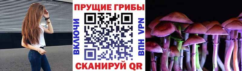 Галлюциногенные грибы Psilocybine cubensis  Шали 