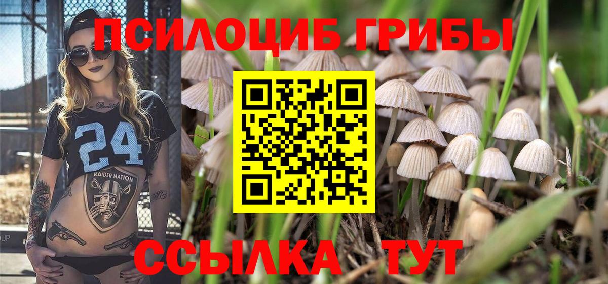 Галлюциногенные грибы GOLDEN TEACHER  Вход с VPN  наркота  Шали 