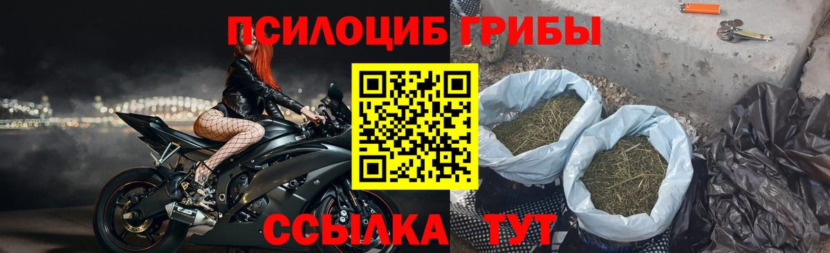 Галлюциногенные грибы мухоморы Шали