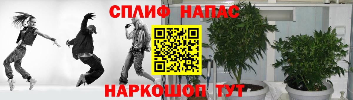 Шишки марихуана тримм Шали